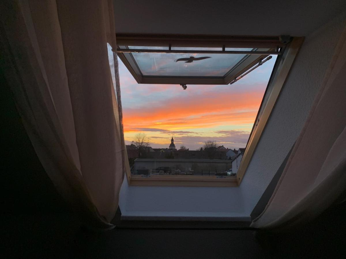 Ferienwohnung Oelzschau - Urlaub Im Leipziger Neuseenland Rötha المظهر الخارجي الصورة
